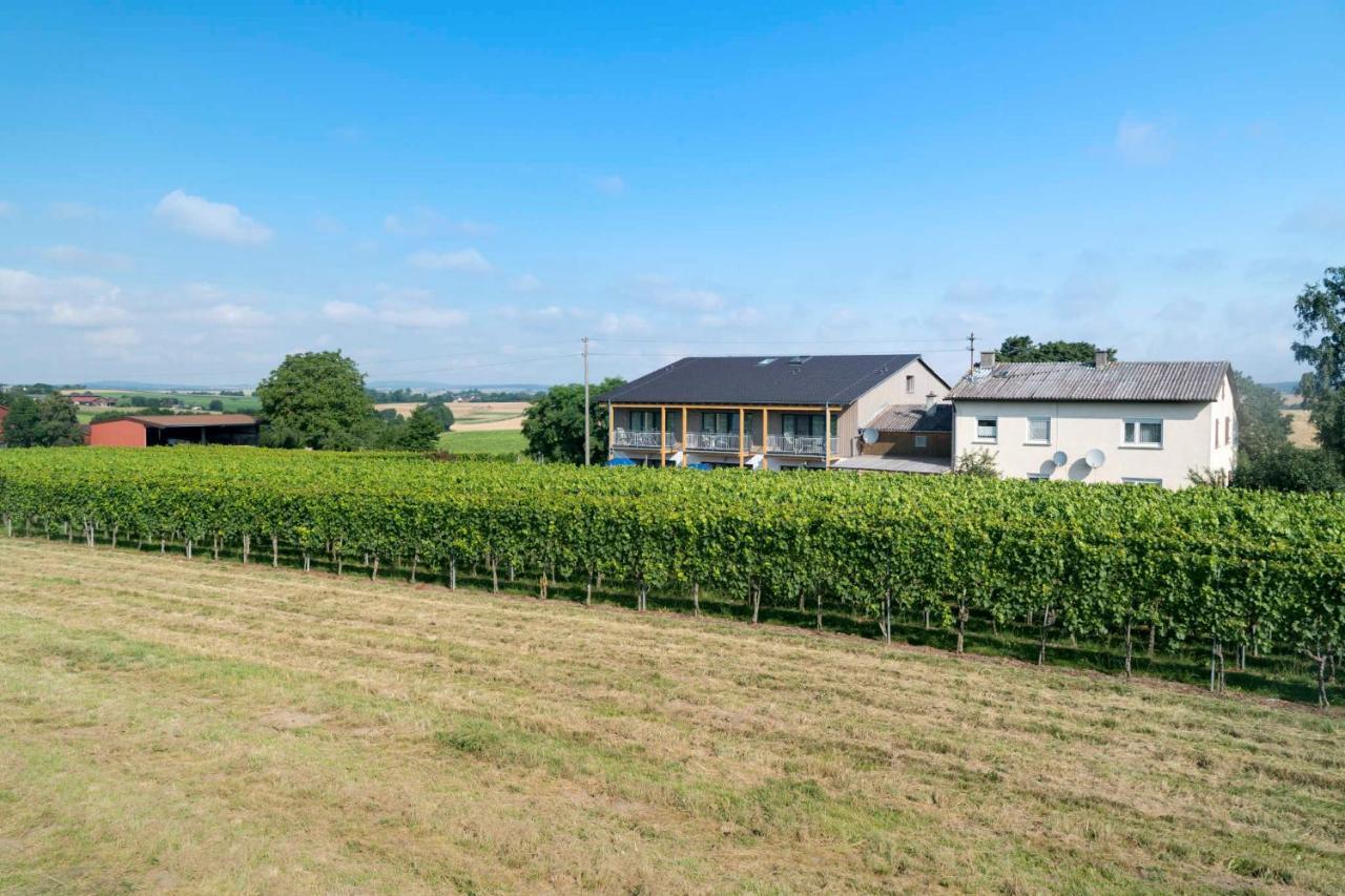 Winzerhof Schmid Apartment Schwaigern Luaran gambar